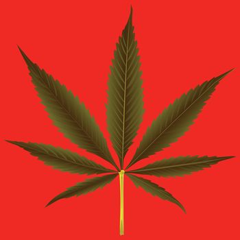 cannabis leaf against orange background, abstract vector art illustration