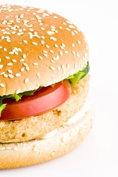 Chicken burger with tomato cucumber lettuce and mayonnaise over white