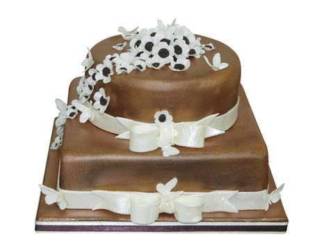 Chocolate Iced Cake with Flowers isolated with clipping path
