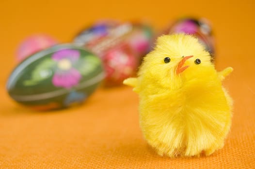 Cute little chicken and easter eggs.