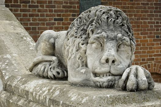 A lion statue, Krakow, Poland