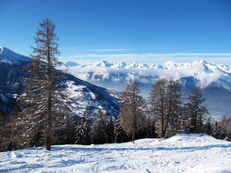 Alpine scene