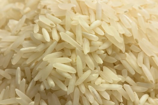 Close up of basmati rice