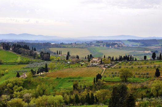 Typical Tuscany landscape in spring