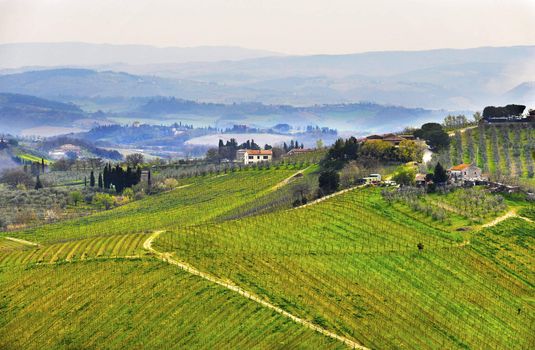 Typical Tuscany landscape in spring, Italy