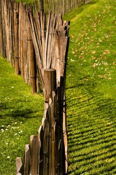 A wood fence in a garden