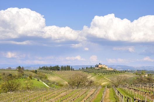 Vineyard landscape in Tuscany, Italy