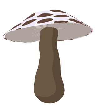 Polka Dotted Mushroom on a white background