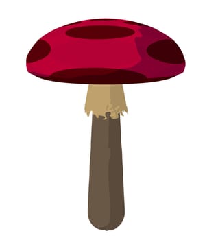 Polka Dotted Mushroom on a white background