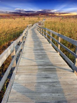 Path in marsh with sunset in fall (Montage)