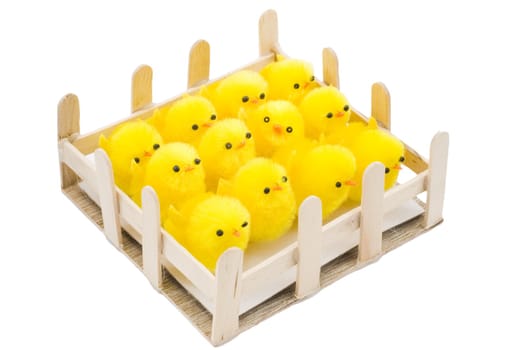 a pen with newborn yellow easter chickens
