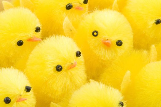 a large group of newborn yellow easter chickens