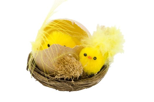 a nest with newborn yellow easter chickens