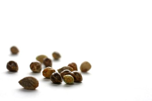 Isolated shot of hemp seeds on white background