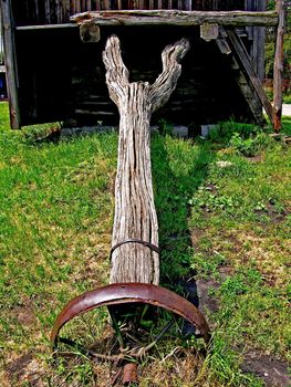 fragment of Ukrainian  life under the open air in the Pirogovo village.