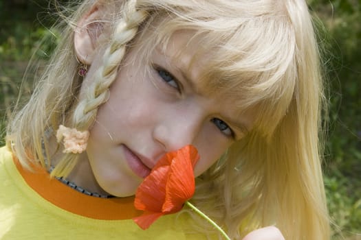 A blue-eyed small blonde girl smells a red poppy.