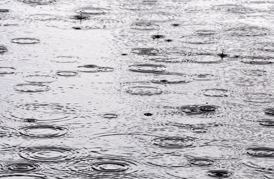 Rain drops on the water surface