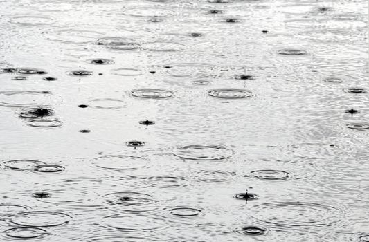 Rain drops on the water surface