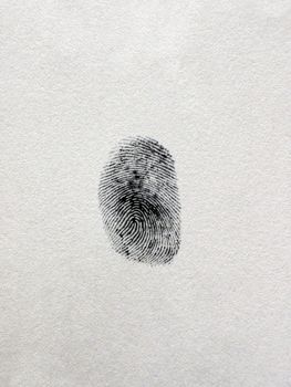 A fingerprint on a white paper sheet