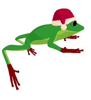Frog with a santa hat on a white background