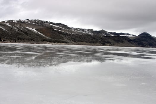 Reflection in the Ice.  Photo taken at Lower Klamath National Wildlife Refuge, CA.