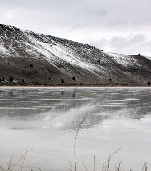 Reflection in the Ice.  Photo taken at Lower Klamath National Wildlife Refuge, CA.