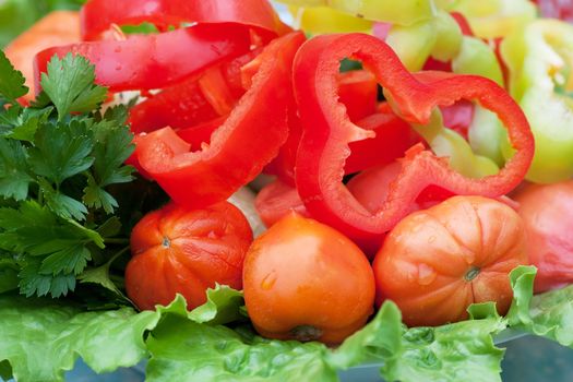 Healthy vegetables (pepper, tomatos, lettuce, parsley) on a plate.