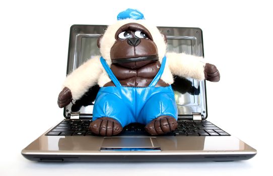Monkey with a laptop