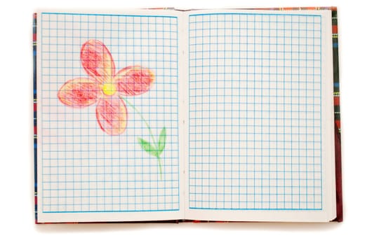 Drawing a flower in a notebook on a white background.