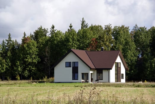 Modern apartment house on a background of a green grass and trees