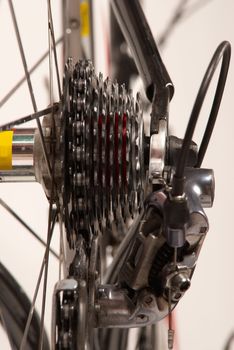 Bicycle rear wheel with detail of the gear system