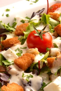 Cheese salad with cream dessing served with croutons