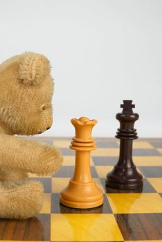 Clever teddy playing chess, educational concept