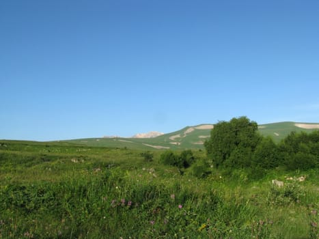 Mountains; rocks; a relief; a landscape; a hill; a panorama; Caucasus; top; a slope; clouds; the sky; a landscape