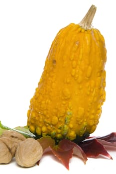 a calabash on a white background