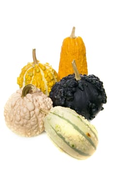 calabashes on a white background