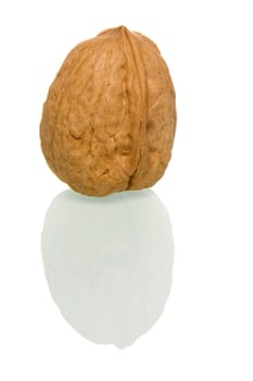 a walnut on a white background