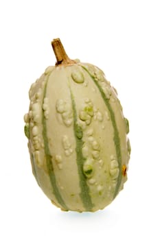 a calabash on a white background