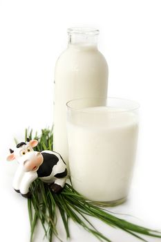 Bottle and glass of milk with toy cow and grass