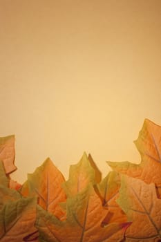 Decorative autumn leaves on an orange background. Add your text to the background.