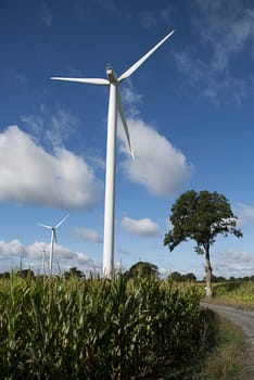 Field, trees and wind turbine on country road