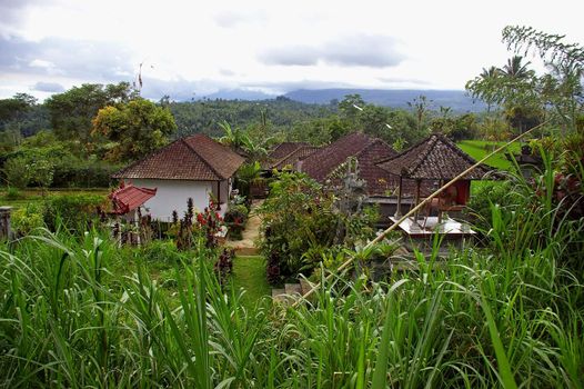 The coffee growing village of Kiadan Pelaga. This village is also a stop on an Eco-tourism tour of central Bali, Indonesia.