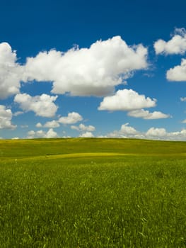 Beautiful green meadow with a great cloudy sky