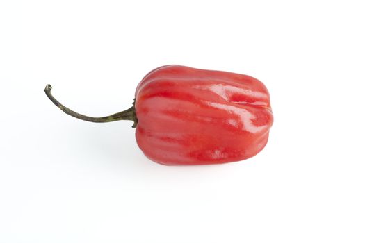 Scotch bonnet isolated on white background.