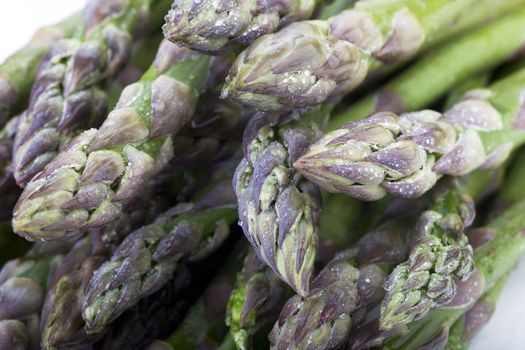 Closeup of asparagus tips covered in water drops. 