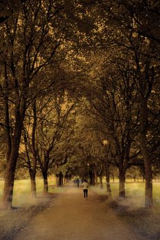 People walking in an alley of trees, autumn