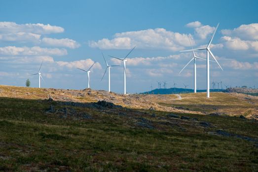 Beautiful meadow with Wind turbines generating electricity.