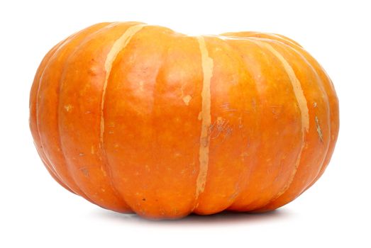 Single fresh pumpkin isolated on white background.