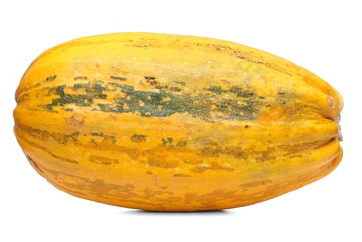 Single fresh pumpkin isolated on white background.