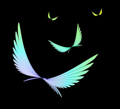 Abstract, fractal colorful birds on the black backgrounds